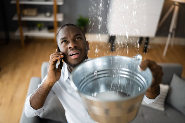 Best Professional water damage repair  in Stowell, TX