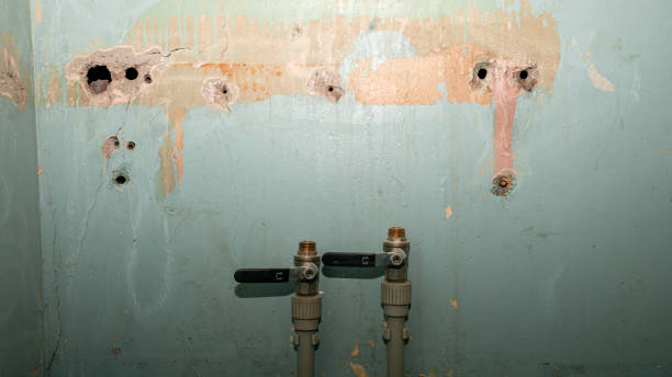 Best Water damage repair service  in Stowell, TX